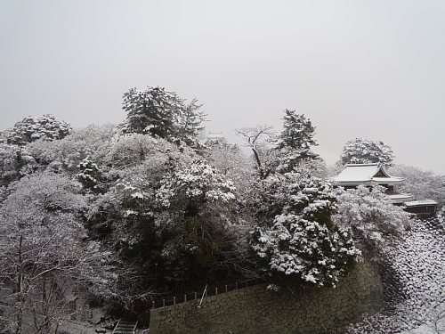 松江城、雪化粧