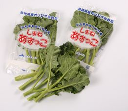 島根県オリジナル野菜「あすっこ」