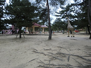 浜山公園３