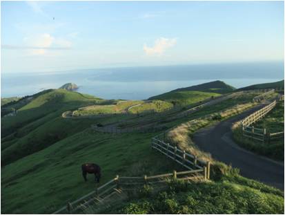 知夫里島