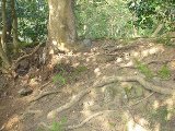 20130318_p16.jpg