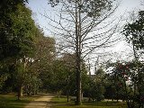 20130318_p20.jpg