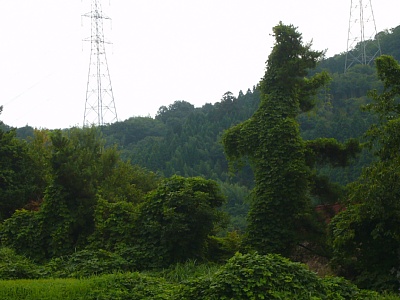 奥出雲の怪獣１