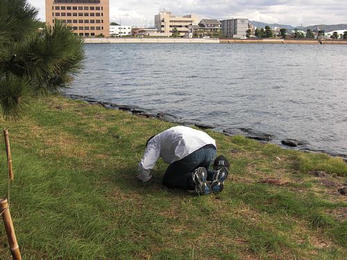 「だんだん」のシーン再現