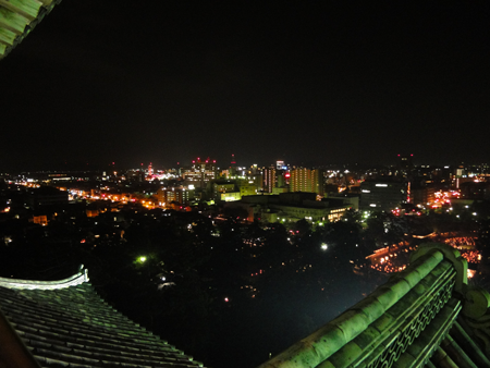 天守閣からの夜景