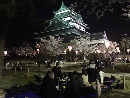 夜桜