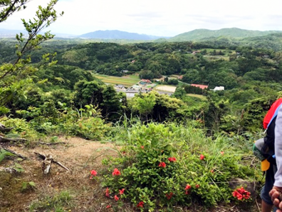 頂上からの風景