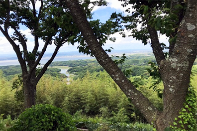 登山の様子