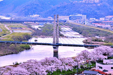 春には美しい桜が咲き乱れる土手もすぐそばに