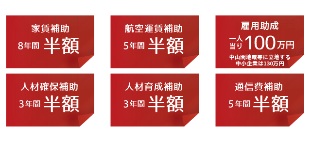 島根県のソフト系IT企業への支援例