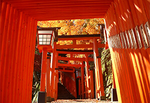 太皷谷稲成神社