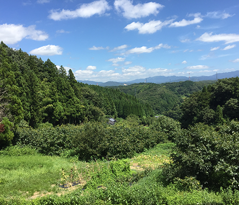 遠くまで眺められる景色