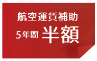 航空運賃補助5年間半額