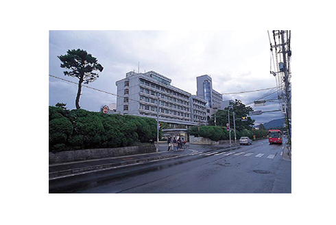 総合理工学部が設置されている島根大学