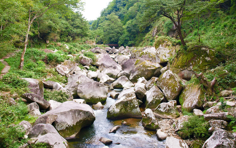 しまねの余暇（観光）情報