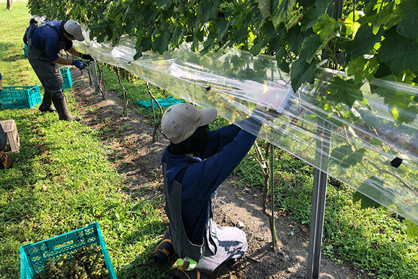 現時点では人材も充足、しかし将来には不安も