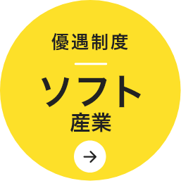 ソフト産業の主な優遇制度