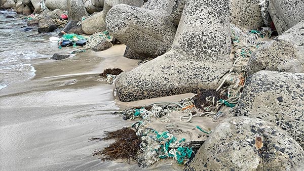 海岸に漂着した海洋プラスチックゴミ