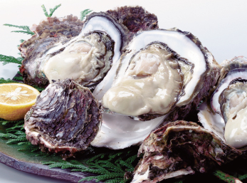 岩牡蠣