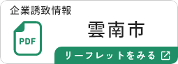 雲南市のリーフレットを見る