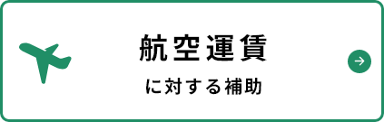 航空運賃に対する助成